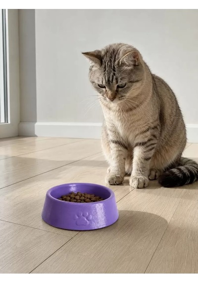 Hubrendy Sh Pati Desen Model Beton Kedi Köpek Mama Ve Su Kabı 13 Cm Çap X 4 Cm - Mor