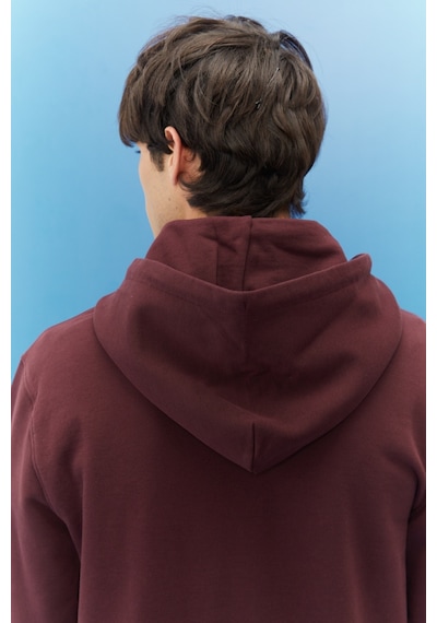 Lee Regular Fit Normal Kesim %100 Pamuk Kapüşonlu Şardonlu Sweatshirt L80YRY74 Çok Renkli