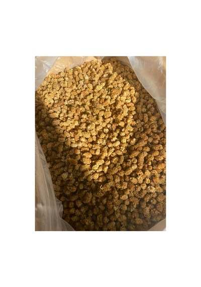 Kuru Dut 500 Gr Diğer