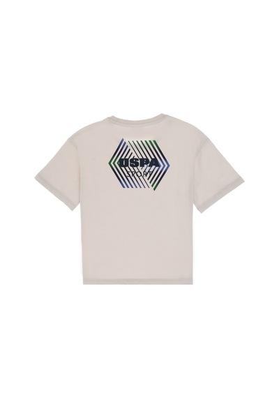 U.S. Polo Assn. Erkek Çocuk Açık Gri Comfort Bisiklet Yaka Tişört 50300064-VR001