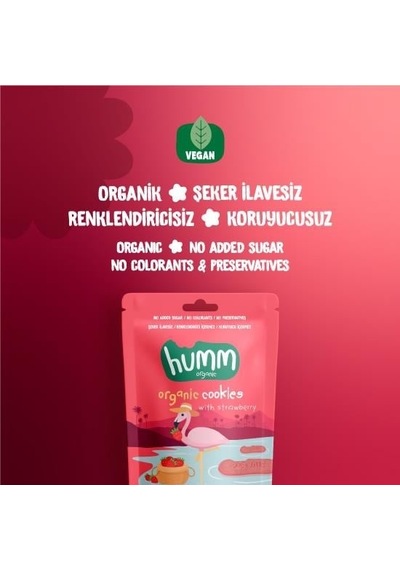 Bezos Organik Vegan Çilekli Kurabiye 55 Gr Nıda