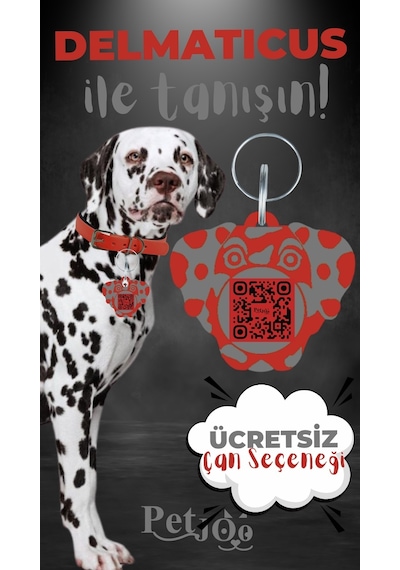Petjoo 28.Delmaticus Gri-Kırmızı Qr'lı Köpek Künyesi