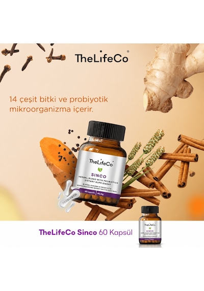 TheLifeCo Sinco 60 Kapsül