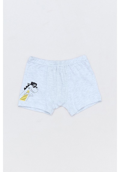 Fullamoda Dinozor Baskılı Erkek Çocuk 3 Lü Boxer 23mıcg631193589-sarı Sarı