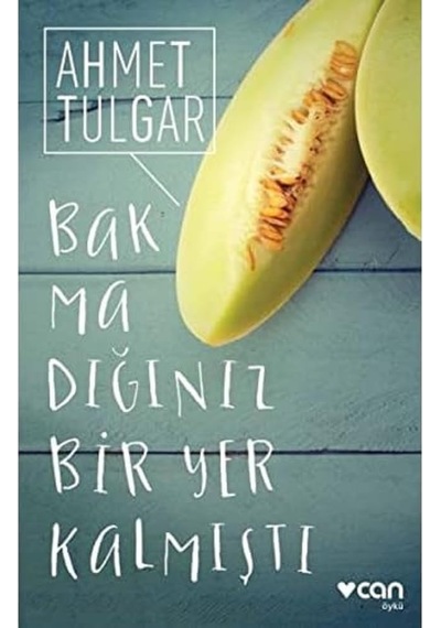 Bakmadığınız Bir Yer Kalmıştı