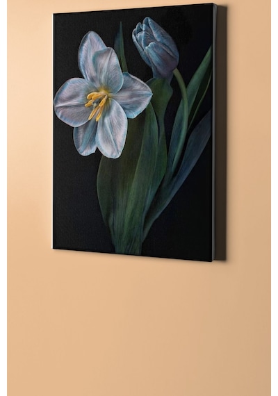 Webstyle Sayılarla Boyama Seti Kasnaklı Nilüfer 60 X 75 Cm