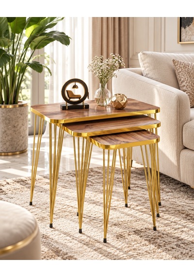 Odera Gold Ceviz Zigon Sehpa 3'lü Set Metal Tel Ayaklı Modern Retro Salon Sehpası Diğer