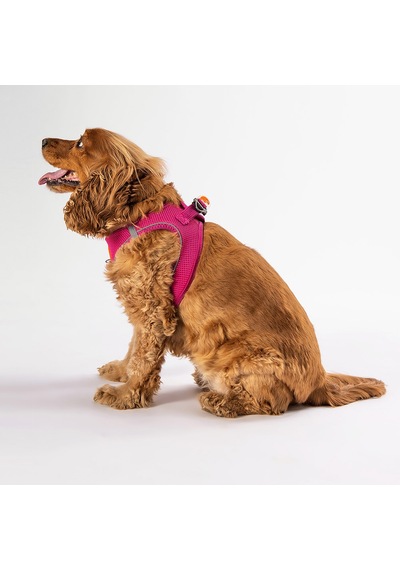 Pawstar Airmesh Kedi Köpek Göğüs Tasması Fuşya 3xs Fuşya