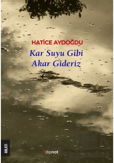 Kar Suyu Gibi Akar Gideriz Dipnot Yayınları