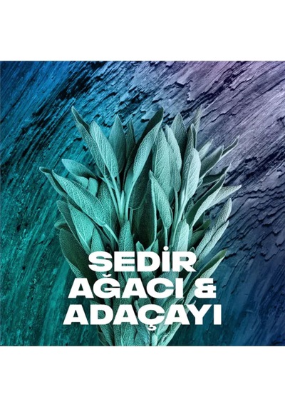 Erkek Sprey Deodorant Apollo 48 Saat Etkileyici Koku Vücut Spreyi 150 Ml 6 Adet Bskaxeapollo6
