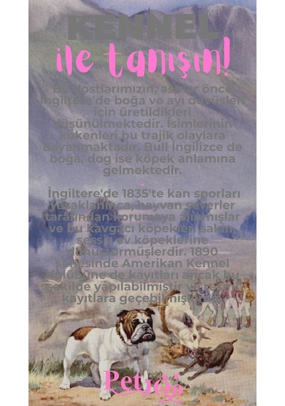Petjoo 16.Kennel Pembe-Gri Qr'lı Köpek Künyesi