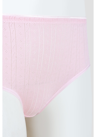 Loya Kadın Pembe Cotton Yüksek Bel Külot Pembe