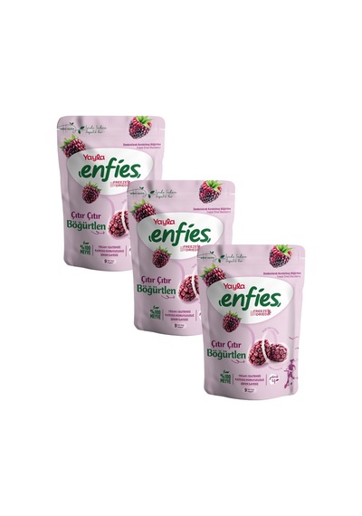 Yayla Enfies Freeze Dried Böğürtlen 15 G X3