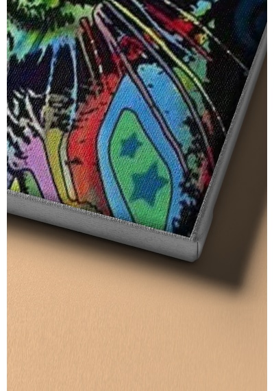 Webstyle Sayılarla Boyama Seti Kasnaklı Semfonik Kedi 40 X 50 Cm
