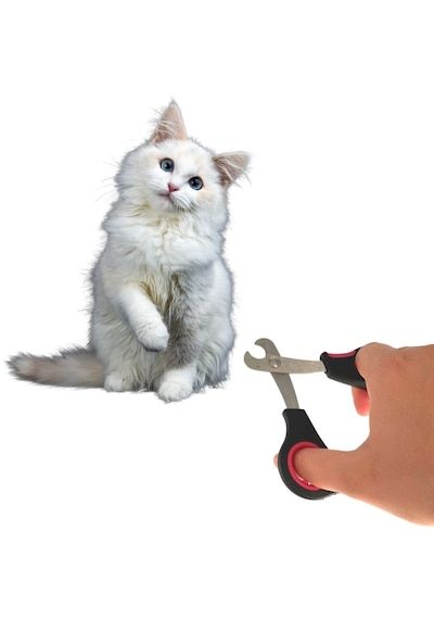Go İthalat Büyük Irk Köpek Kedi Çelik Uçlu Evcil Hayvan Tırnak Makası Pati Bakım Aleti Ergonomik Kay
