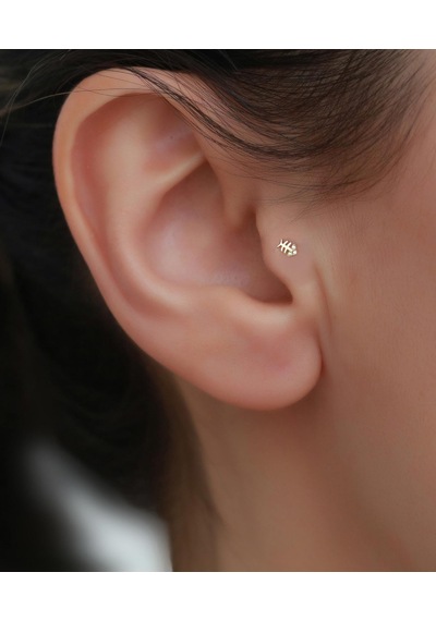 14 Ayar Altın Taşlı Balık Tragus Piercing Sarı Altın