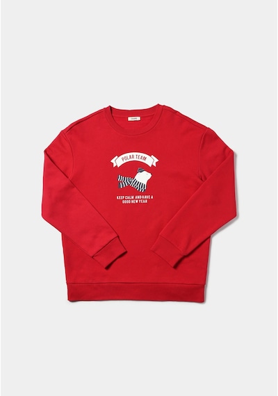 Colin's Colins Comfort Fit Erkek Kirmizi Sweatshirt Cl1077349 Q1.v2 Red Kırmızı