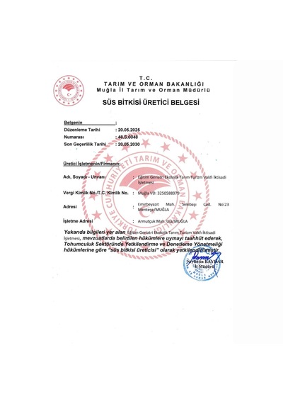 Organik Biberiye Fidesi 12 Adet