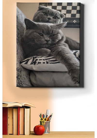 Webstyle Sayılarla Boyama Seti Kasnaklı Ponçik Kediler 60x75 Cm