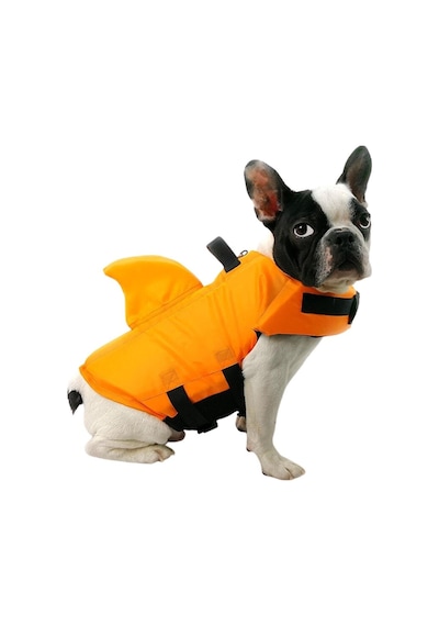 Lion Shark Köpek Can Yeleği Xs