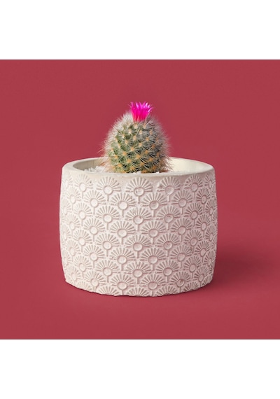 Objevii Işık Desen Beton Saksı - Bej - 10x13 Cm Renkli