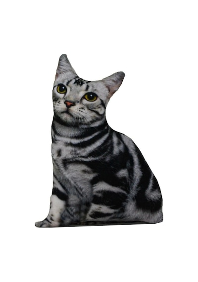 American Shorthair 3d Dijital Baskılı Lüks Kedi Yastığı Renkli