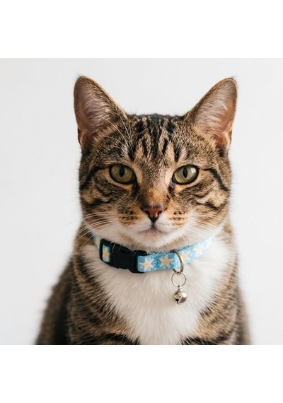 Patibon Premium Galaxy Harmony Kedi Boyun Tasması Özel Koleksiyon Açık Mavi