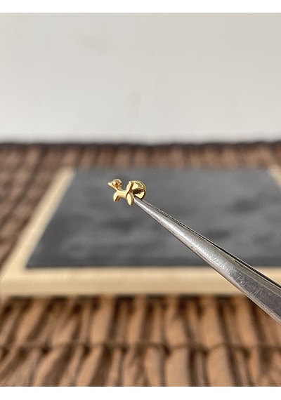 Yüksek Kalite G23 Titanium Fino Köpek Altın Titanyum 6 X 1.2 MM Labret Piercing Sarı