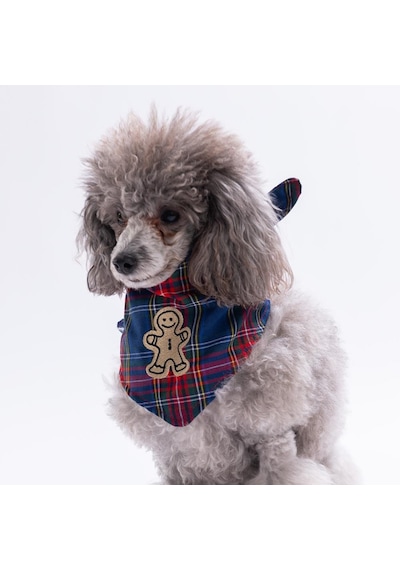 Cookie Jingle Kurabiye Adam Nakışlı Ekose Desen Yeşil Kedi Köpek Fuları Pet Bandana Köpek Bandanası