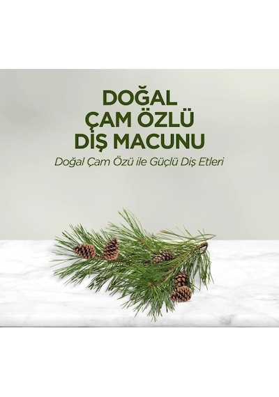 Mey İthalat Doğal Diş Macunu 90 Gr Çam Özlü