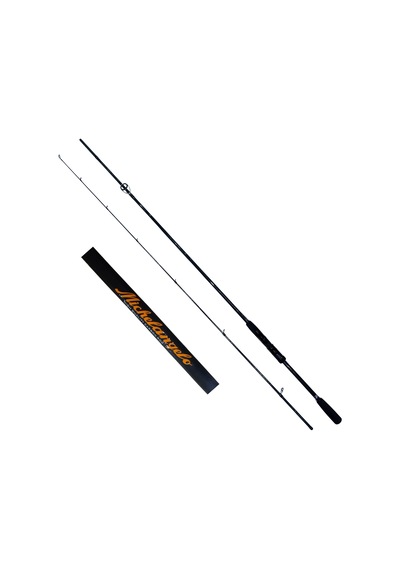 Dft Michelangelo 243 Cm Olta Kamışı 10-20 G - 810.2m.243