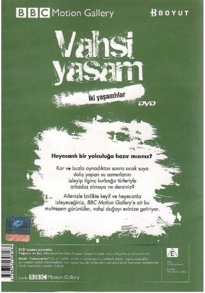Bbc Motion Gallery - Vahşi Yaşam İki Yaşamlılar Yağmur Ve Su Minik Canavarlar - Dvd