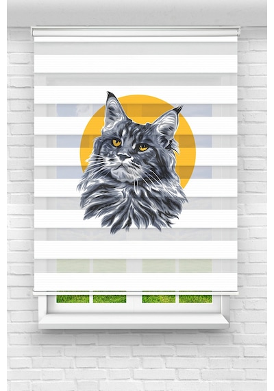 Perdecizade Enxboy Kedi Dijital Baskılı Zebra Perde-cocuk Odası-stor Perde Tyc8b666830704df075f7ff00 Renkli