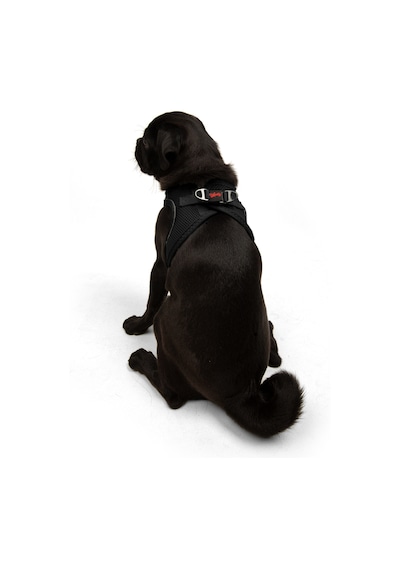 Air-Mesh Küçük ve Orta Irk Kedi Köpek Göğüs Tasması - Yumuşak, Nefes Alabilir, Dayanıklı SİYAH L
