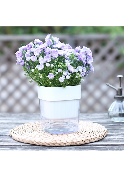 Kendinden Sulamalı Şeffaf Hazneli Kare Akıllı Saksı 16 X 17.5 X 16 Cm