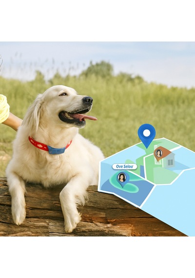 Evcil Hayvan Gps Takip Cihazı Kedi & Köpek İçin Konum Belirleyici Suya Dayanıklı, Sesli Uyarı Siyah
