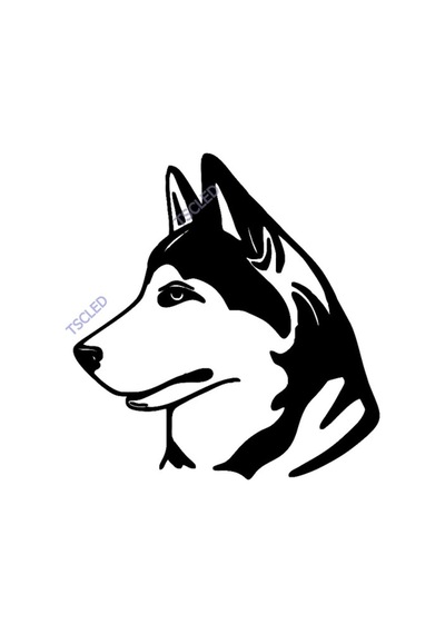 Kurt Sticker Yapıştırma