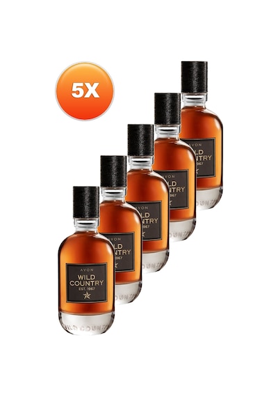 Wild Country Erkek Parfüm Edt 75 Ml 5'li Set 5050000105231 Odunsu