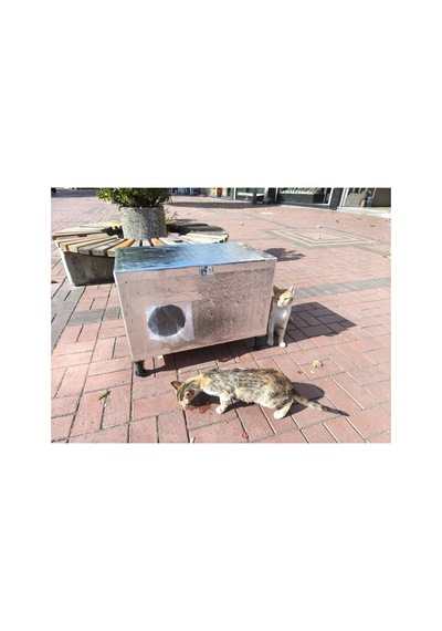 Kedi Yuvası Kedi Evi Özel Yüksek Ayaklı Isı Ve Su Yalıtımlı İç Ve Dış Mekan 70x40x40 Cm