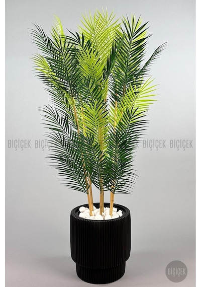 Biçiçek Yapay Areka Palmi̇yesi̇ 48 Yapraklı 150 Cm Si̇yah Vega Saksıda
