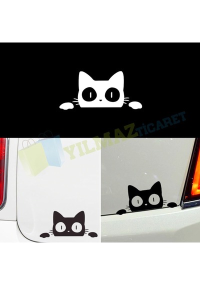 Saklanan Kedi Bagaj Ayna Oto Sticker Arma Etiket Yapıştırma