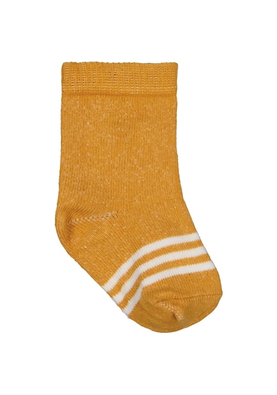 Civil Baby Basic Çizgili 3'lü 6-18 Ay Bebek Erkek Çorap Set - Standart