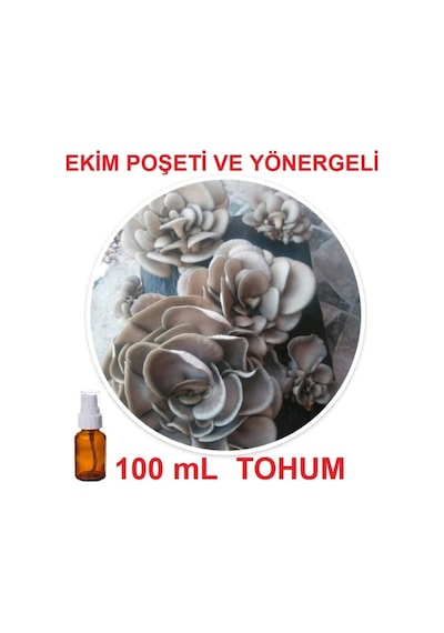 100 Ml Sıvı Istiridye Kayın Kavak Mantarı Tohumu + Ekim Poşeti + Yönerge