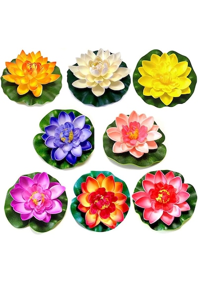 5 Adet Tohum Nadir Bulunan Karışık Renkli Lotus Çiçeği Tohumu