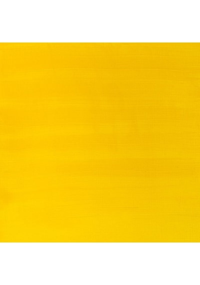 Winsor & Newton Galeria Akrilik Boya 500ml - Cadmium Yellow Medium Hue 120