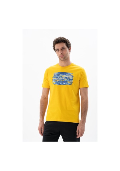 AR-MA Arma Erkek Regular Fit Bisiklet Yaka Tişört Y25344403001 Sarı
