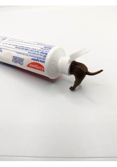 Köpek Poposu Diş Macunu Sıkacağı Kafası Diğer