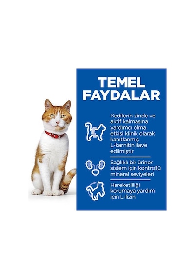 Hill's Science Plan Somonlu Kısırlaştırılmış Yetişkin Kedi Maması 8 KG + 2 KG Mama