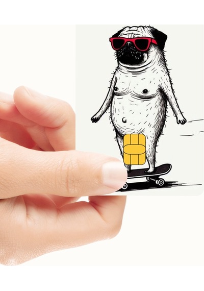 Gözlüklü Patenci Köpek Tasarımlı Kredi Kartı Ve Akbil Kaplama Sticker Standart