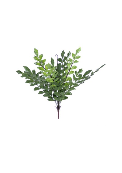 Yapay Ruskus Demeti 65 Cm-10498